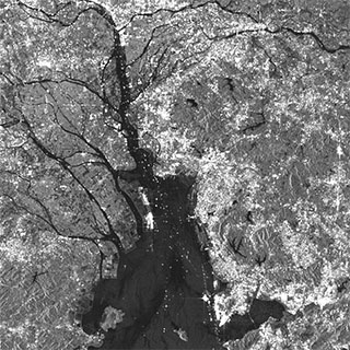 20081211-hongkong-thumb4