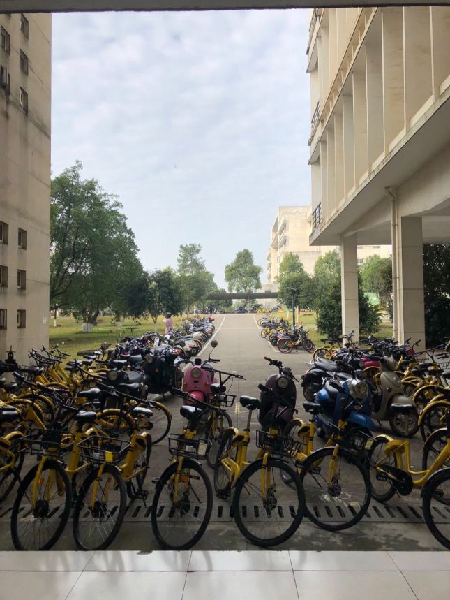 6381545254893_.pic_hd